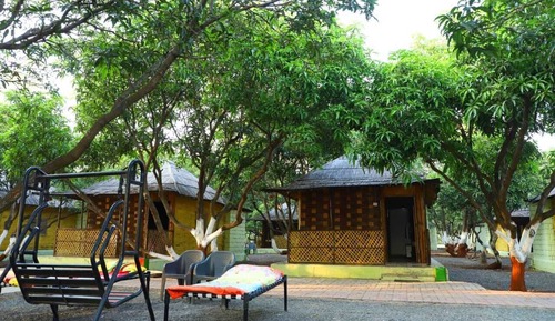 Comfort Double Room, Garden View