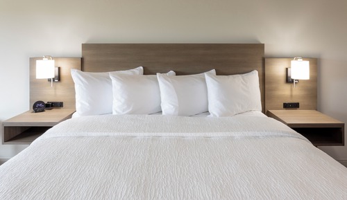 Room, 1 King Bed (Pet Friendly)