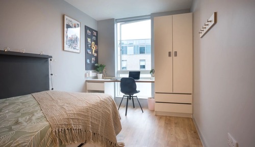 Single Room, Non Smoking