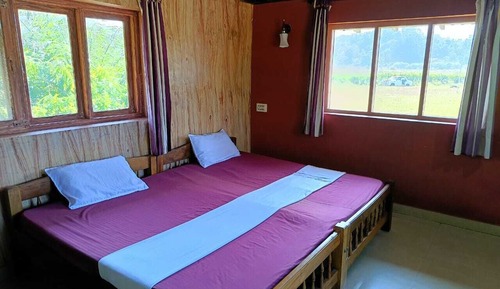 Deluxe Shared Dormitory