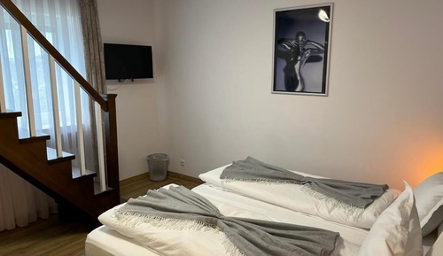 Business Double Room, 1 Bedroom, Non Smoking, Air conditioning