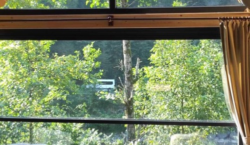 Business Bungalow, River View