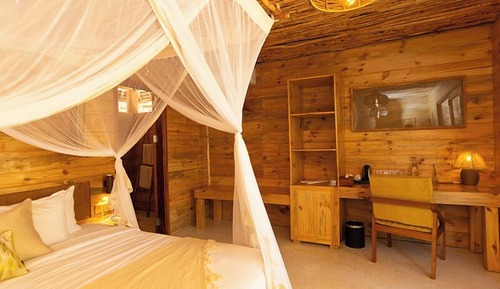 Standard Single Room, Garden View