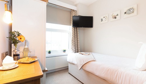 Standard Room, 1 Twin Bed, Non Smoking (Cozy Room;Walk-in Shower)