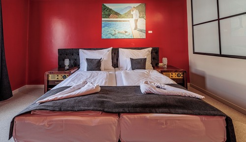 Superior Double or Twin Room