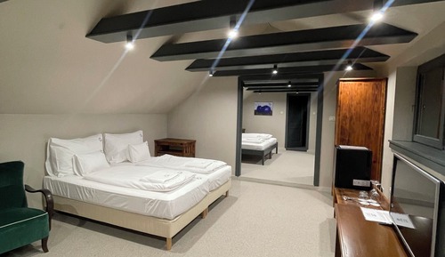 1-bedroom suite