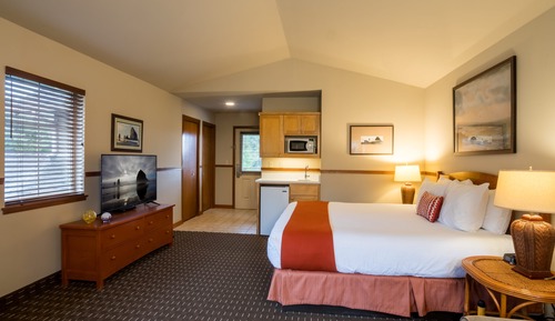 Classic Studio, 1 King Bed with Sofa bed (2nd Floor, Not Pet Friendly)