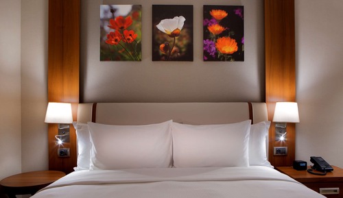 King, Suite, 1 Bedroom