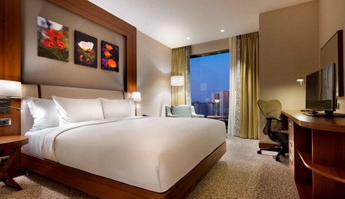 Room, 1 King Bed