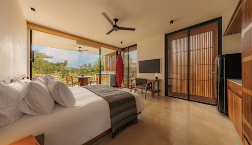 Studio, 1 King Bed, Non Smoking (Hideaway)