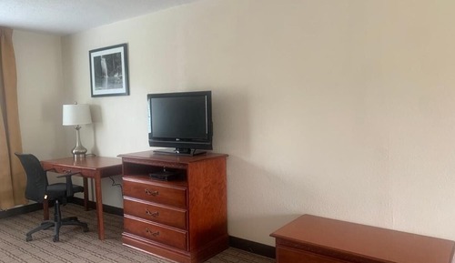 Studio Suite, Multiple Beds