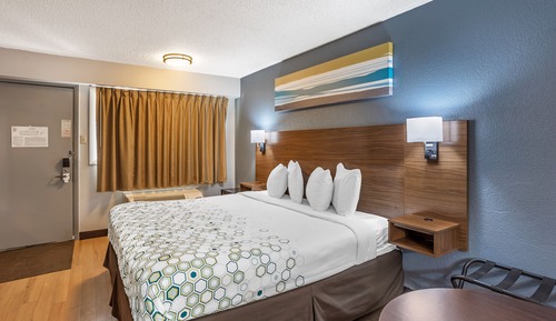 Studio, 1 King Bed, Non Smoking (Larger Desk)