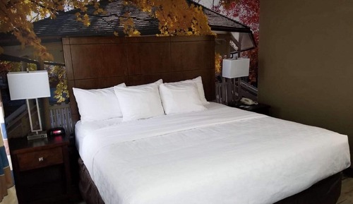 Standard Room, 1 King Bed, Non Smoking, Refrigerator & Microwave