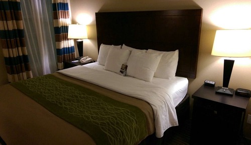 Standard Room, 1 King Bed, Non Smoking, Refrigerator & Microwave (with Single Sofabed)