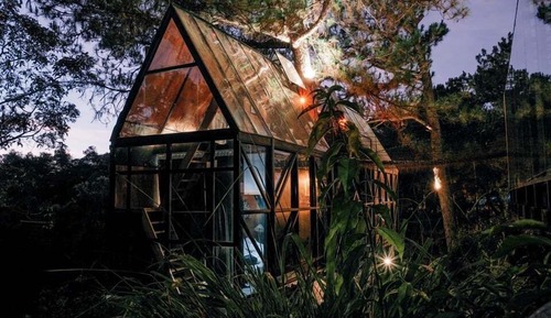 Pine Cone Treehouse