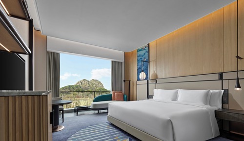 Room, 1 King Bed, Mountain View