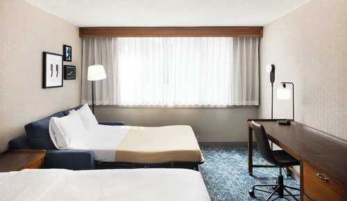 Room, 1 King Bed