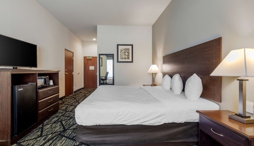 Standard Room, 1 King Bed, Non Smoking, Refrigerator & Microwave