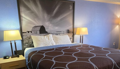 Room, 1 King Bed, Non Smoking