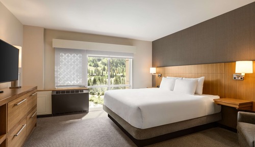 Suite, 1 King Bed with Sofa bed