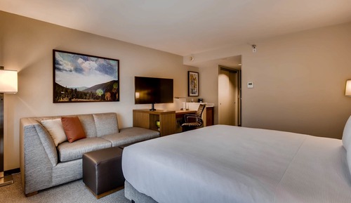 Room, 1 King Bed with Sofa bed, View