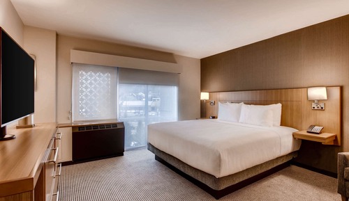 Suite, 1 King Bed with Sofa bed, Accessible (with Shower)