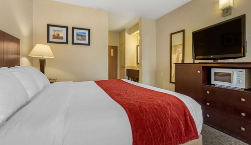 Room, 1 King Bed, Accessible, Non Smoking