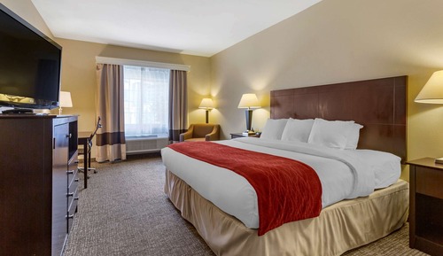 Suite, 1 King Bed with Sofa bed, Accessible, Non Smoking