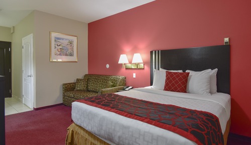 Room, 1 Queen Bed, Non Smoking (Pet Friendly)