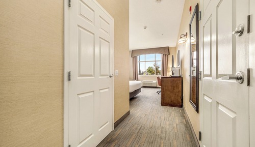 Standard Room, 1 King Bed with Sofa bed