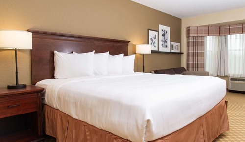 Room, 1 King Bed, Non Smoking