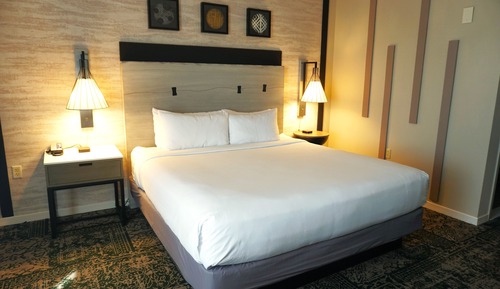 Room, 1 Queen Bed