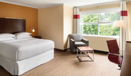 Room, 1 Queen Bed