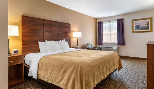 Standard Room, 1 King Bed, Non Smoking