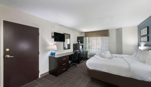 Standard Room, 1 Queen Bed, Non Smoking