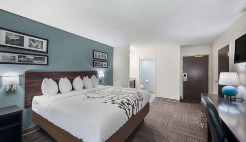 Room, 1 King Bed, Non Smoking