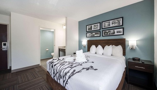 Room, 1 Queen Bed, Accessible, Non Smoking