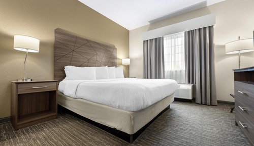 Suite, 1 King Bed with Sofa bed, Non Smoking, Refrigerator & Microwave (with Sofabed)