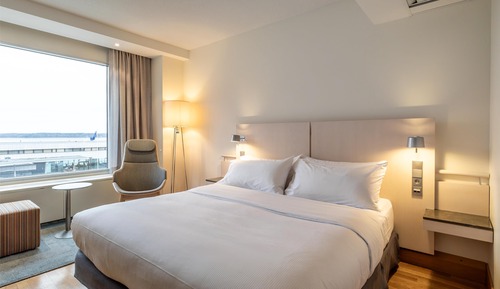 Room, 1 King Bed