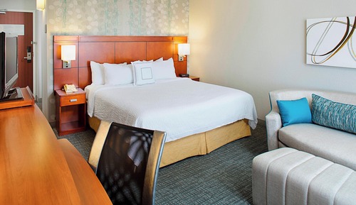 Room, 1 King Bed with Sofa bed