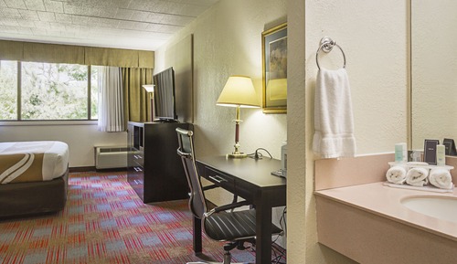 Standard Room, 1 King Bed with Sofa bed, Non Smoking