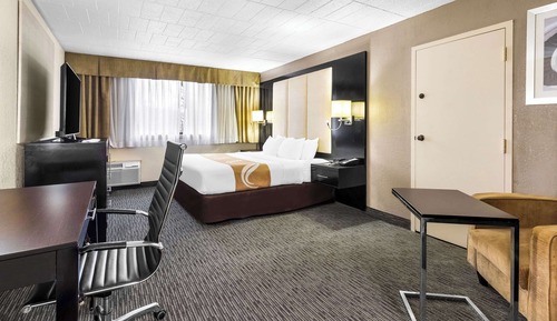 Standard Room, 1 King Bed, Non Smoking