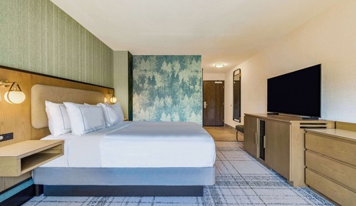 Room, 1 Queen Bed