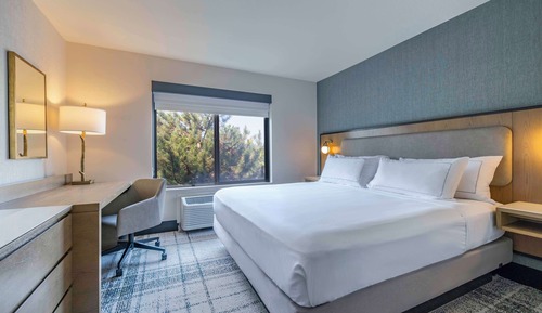 Room, 1 King Bed