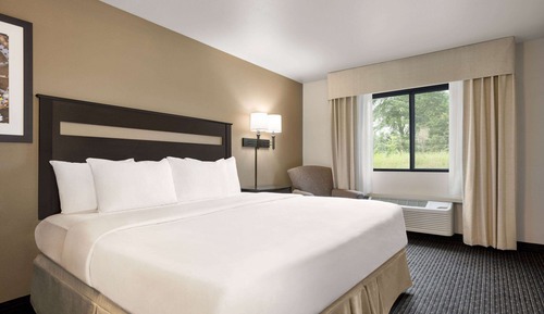 Room, 1 King Bed, Accessible, Non Smoking (Mobility,Roll-In Shower)