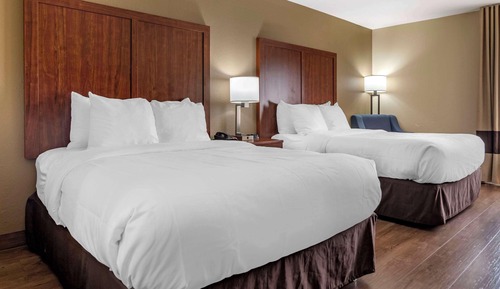 Standard Room, 2 Double Beds, Non Smoking