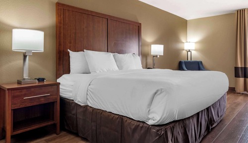 Standard Room, 1 King Bed, Non Smoking