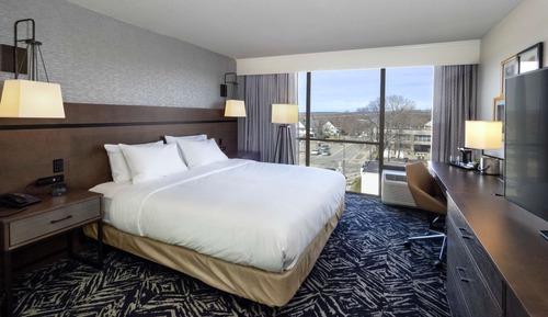 Room, 1 King Bed
