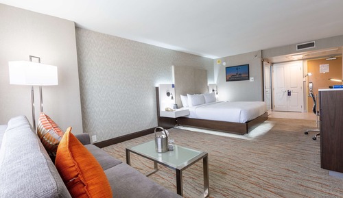 Room, 1 King Bed