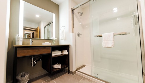 Suite, 1 Queen Bed